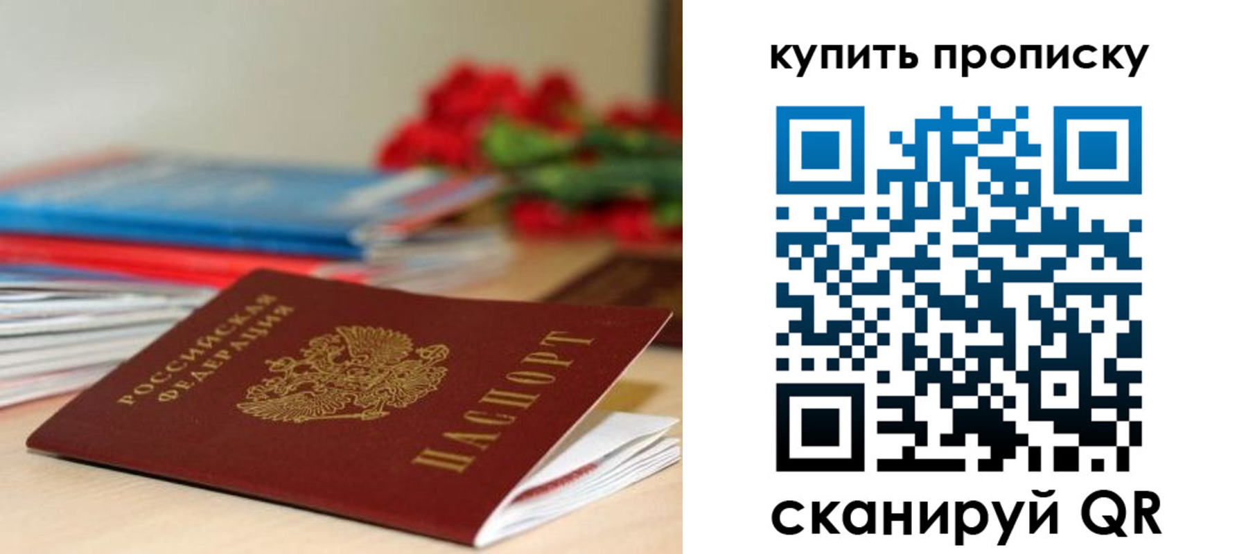 прописка в Шлиссельбурге